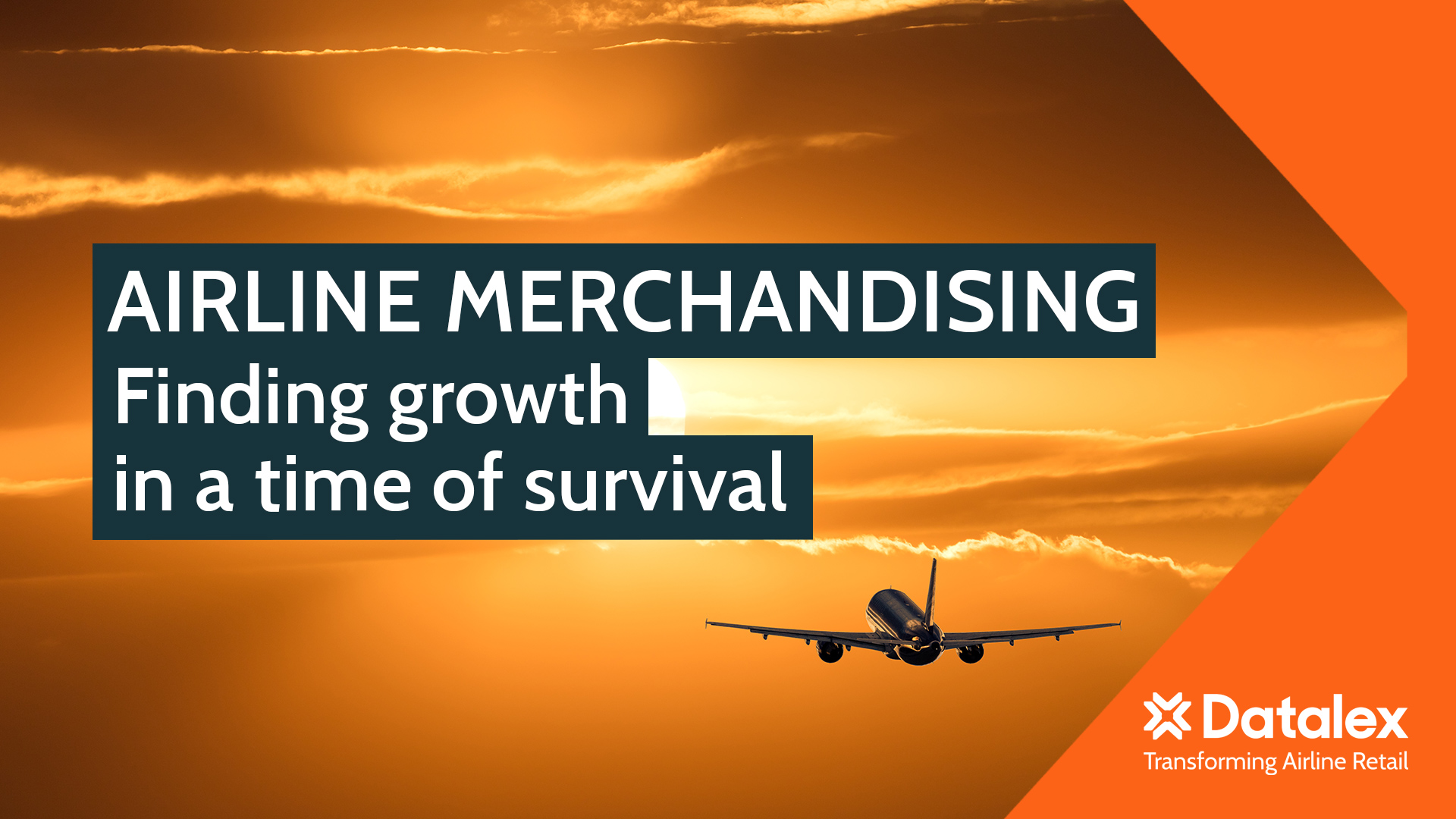 Airline merchandising - Finding growth in a time of survival - DATALEX
