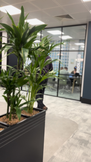 Datalex HQ - Ballsbridge Dublin 4 - Employee at desk